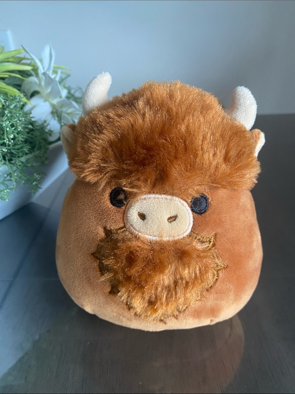 Squishmallows Highland Cow Plush animal “Wilfred”